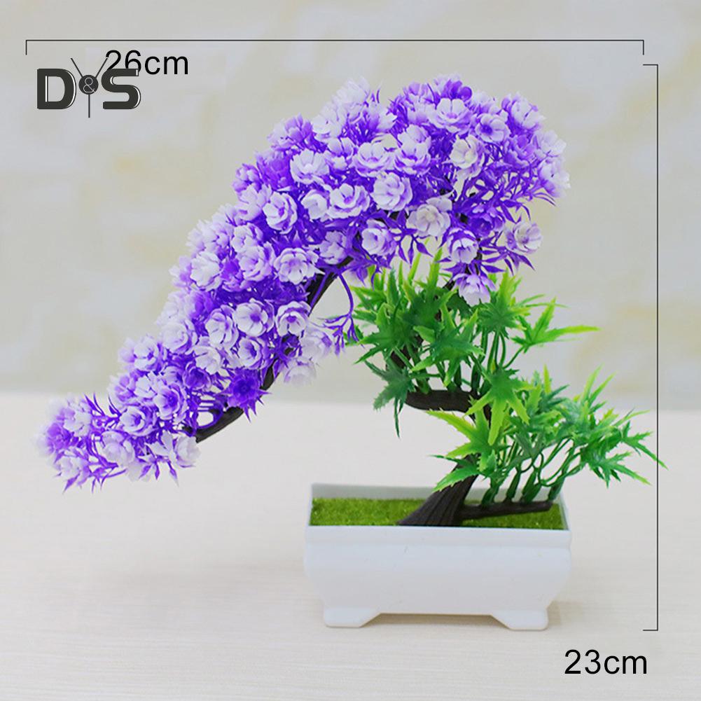 Buchet înflorit, flori, plantă, copac, bonsai, birou, grădină, petrecere, ornament de birou