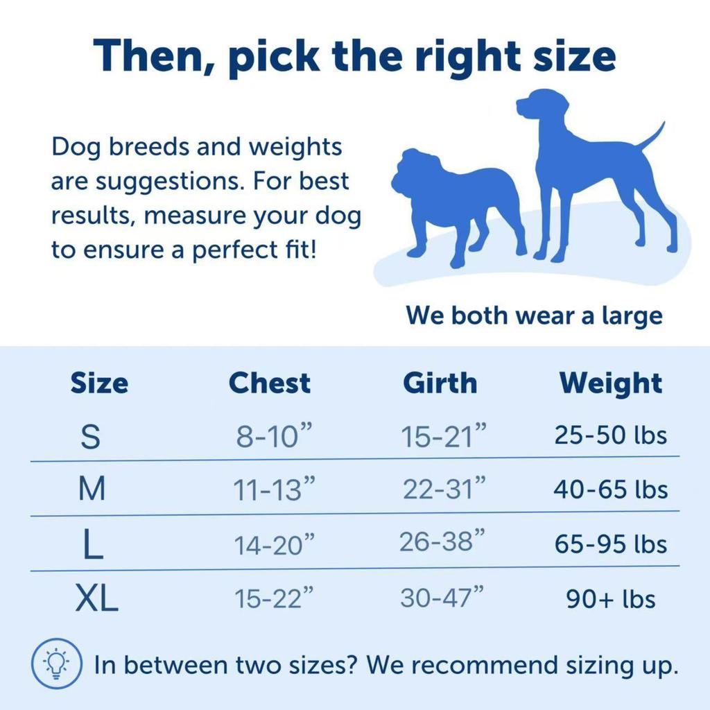Imbracatura per Cani Regolabile Anti-Tiro Gilet di Sicurezza per Cani di Taglia Grande Nylon Resistente Pettorina per Animali Domestici Gilet da Passeggio con Anello a D Metallico per un Controllo Sicuro all'Aperto