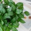 Artificial Plants Green Bonsai for Home Christmas Decoration Craft Wedding Accessories Indoor Outdoor Decoration Fake Flowers