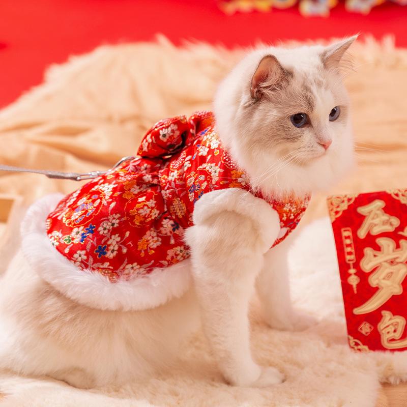 Pet New Year Cat Clothes Autumn and Winter Warm Cat Festive New Year Greetings Two-legged Cotton-padded Clothes Skirt Winter Clothing