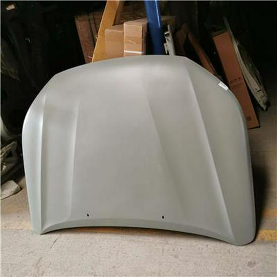 Foton Hood Assembly - Electrophoresis P1660.