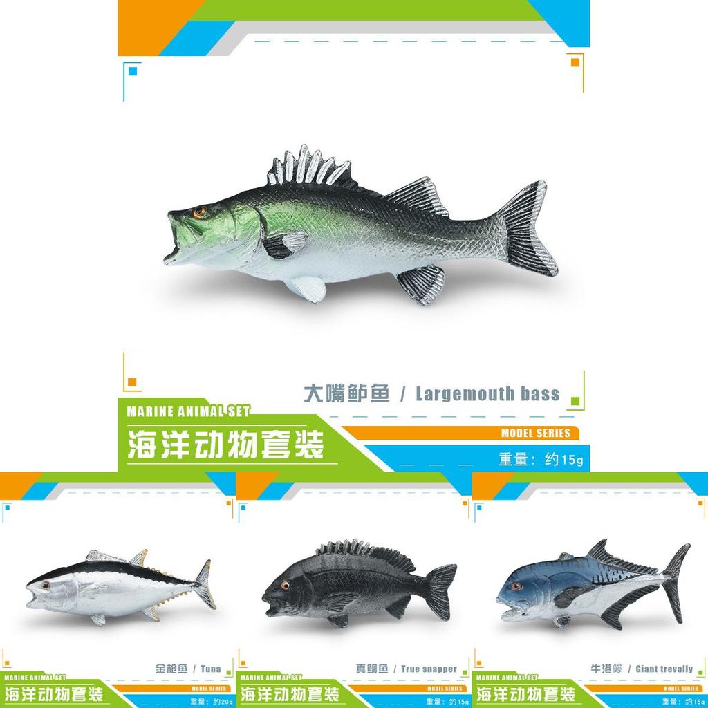 Meerestier Statisches Modell Spielzeug Mit Realistischem Fischdesign Für Sammler Und Dekoration
