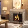 Spark Guard for Fireplaces, Elegant Spark Catcher, Foldable, Coated, Black, 135 x 85 cm