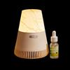 EZVALO Ore Aroma Diffuser Bluetooth Speaker with Essential Oil (CN Version)