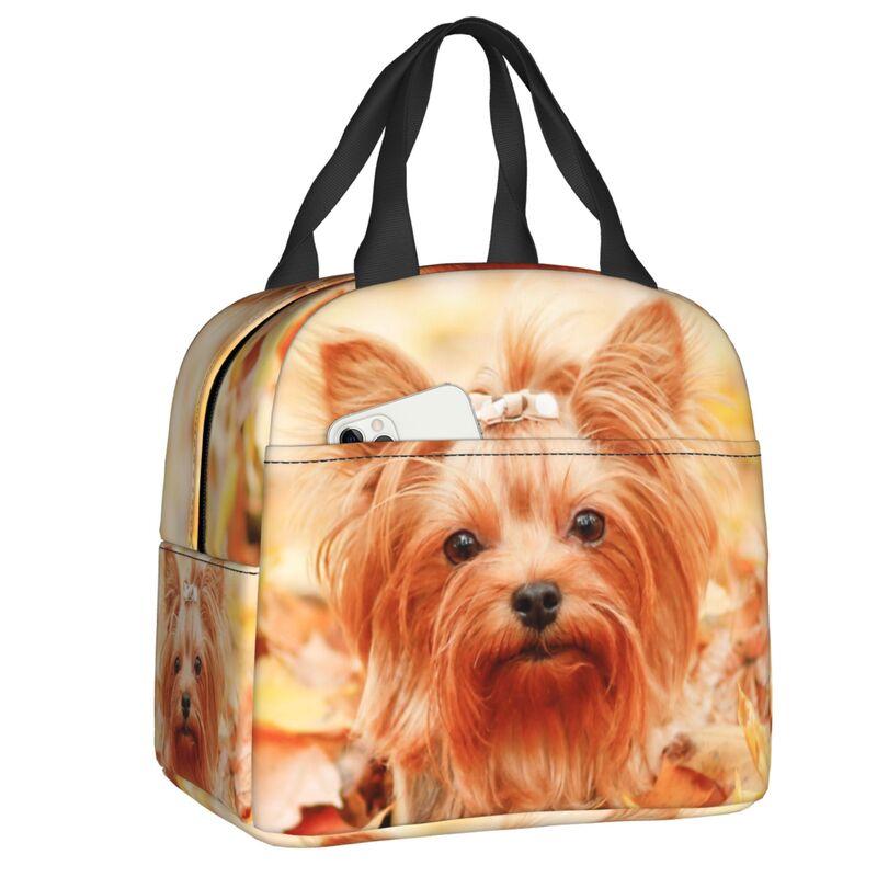 Yorkshire Terrier Dog Resuable Lunch Boxes for Women Waterproof Yorkie Lover Thermal Cooler Food Insulated Lunch Bag Office Work