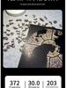 Church Cat Wooden Irregular Jigsaw Puzzle, 372 Pieces - High-Quality Adult Educational Gift