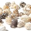 30g/lot 7-12mm Flower Snail Shell Shape Beads For Jewelry Making Loose Conch Pendant Beads DIY Necklace Phone Chains Accessories
