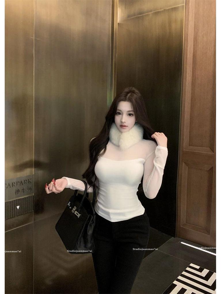 Women's Sheer Mesh Long-Sleeve T-shirt, Spring/Autumn, Half-High Neck Layer, Stylish & Sexy Under Layer.