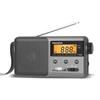PANDA T-04 FM Radio Receiver with Charging Slot for Seniors