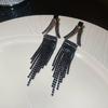 Silver Needle Feather Fringed Earrings Long Light Luxury Atmospheric Stud Earrings Personalized Design Earrings