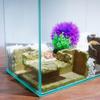 Pești și animale marine – Decorul acvariului