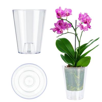 Vaso Coprivaso Per Orchidea Fiori Trasparente 12cm vaso