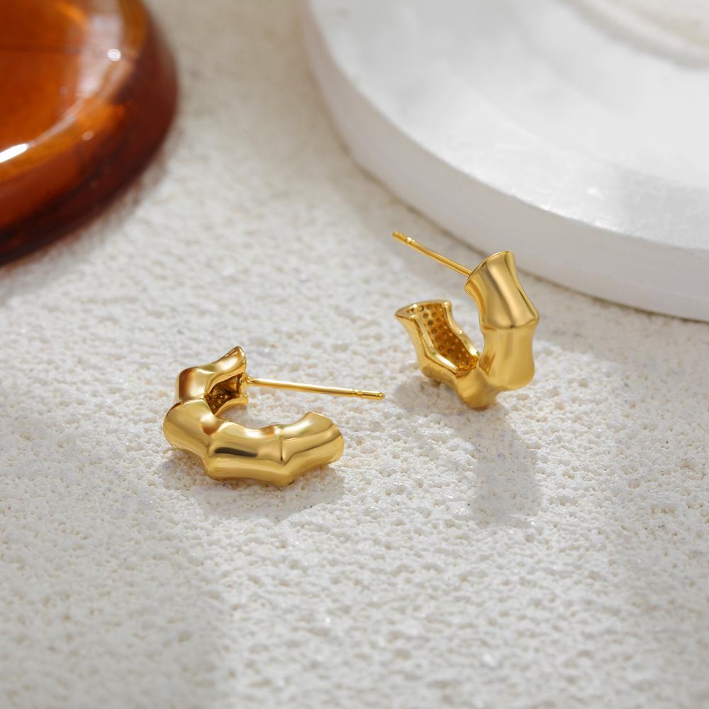 18K Gold Plated Round Bamboo Earrings Hooks Designer Style Circle Huggie Hoop Earring Stainless Steel Vintage Jewelry Party Gift