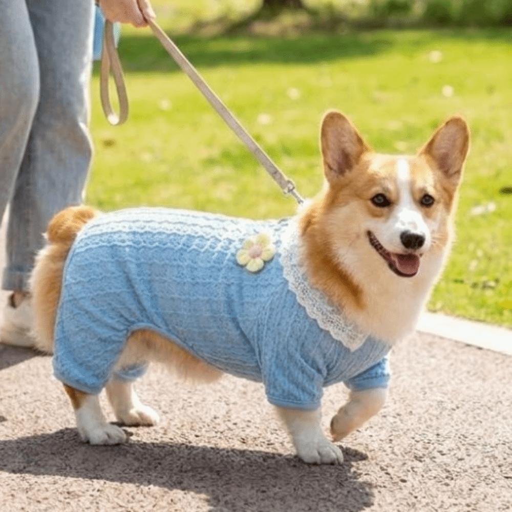 Anti-Mosquito Dog Cooling Clothes Hollow Mesh Dog Sun-proof Jumpsuit Outdoor Walking