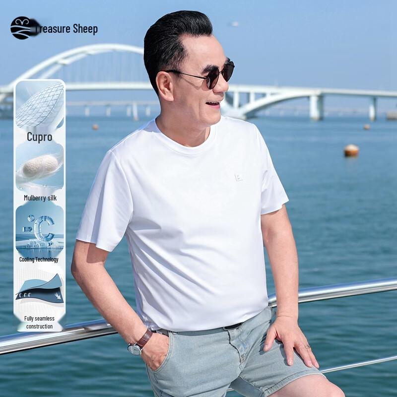 

Men s Mulberry Silk Blend Cooling Short-Sleeve T-Shirt 3XL
