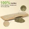 Cat Scratch Mat Cat Toy Sisal Scratcher Pillow Stuffed with Catnip Safe Nail File for Indoor Cats Kitten Training Entertainment Health