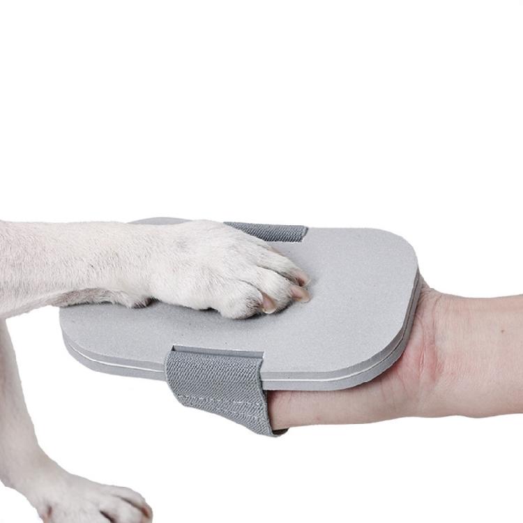 Placa Arranhador para Cães Placa Arranhadora de Unhas para Cães Ferramenta de Lixar e Aparar Unhas de Animais de Estimação