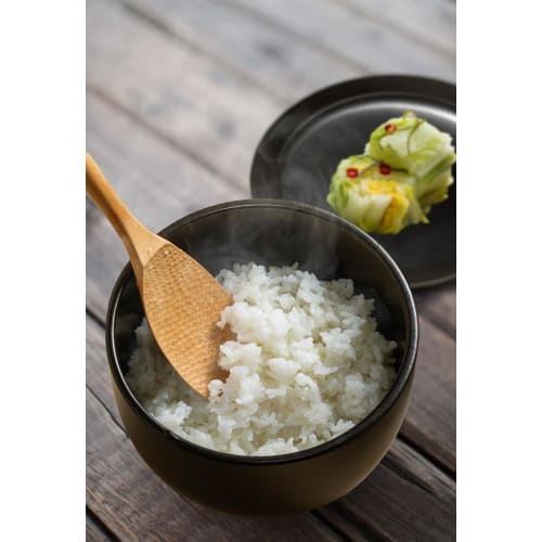 Ishigaki Delish Life Ceramic Rice Container, 1.5-cup capacity, Microwave-safe, Ceramic, for storing and reheating food, Product Code: 4588