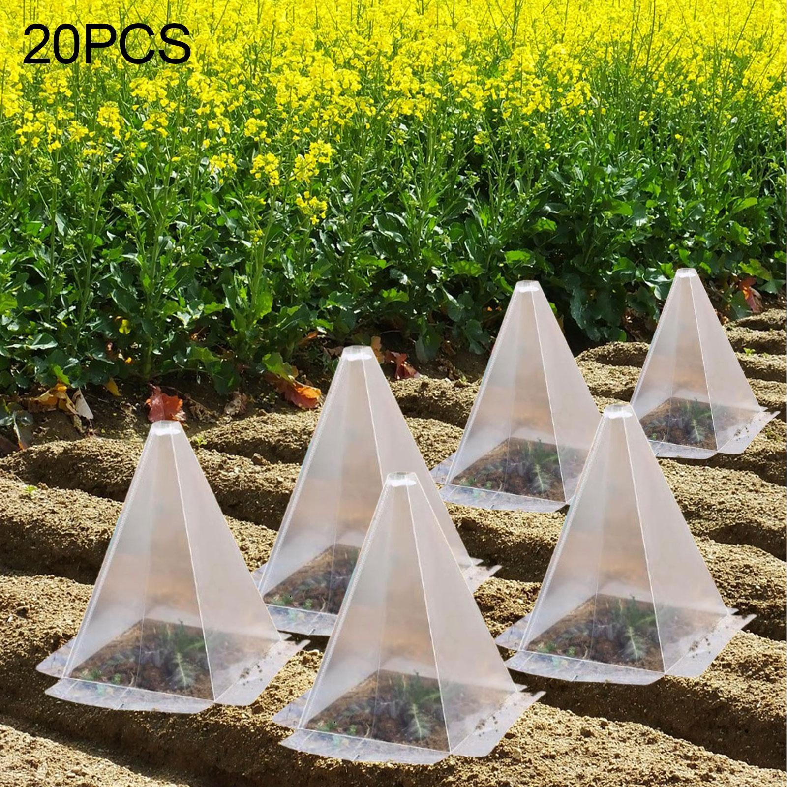 

Растения под стеклянными колпаками для защиты сада от диких животных и заморозков 20 Pieces