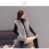 Vest Autumn and Winter New Women's Coat Short Vest Hairy Vest Thin Imitation Fur Vest