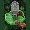 Aquarium Accessories for Reptiles, Food and Water Feeder Bowl Turtle Frog