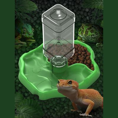 Répteis – Terrários de répteis