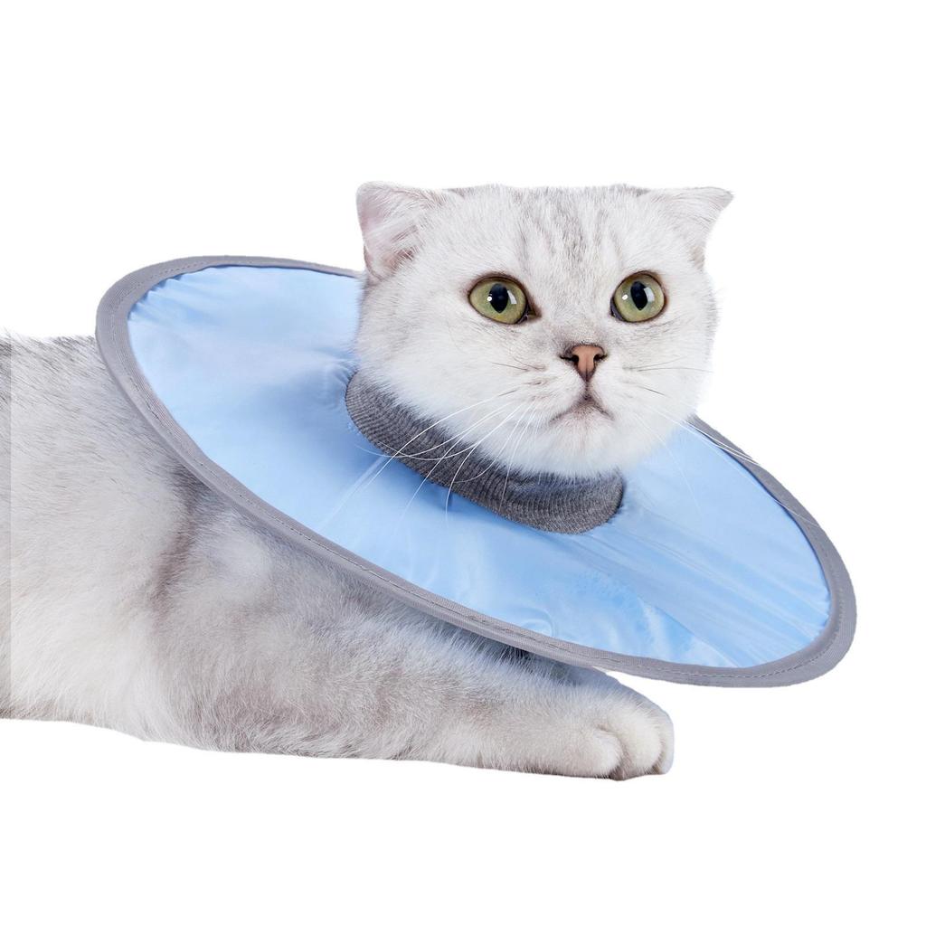 White Cat Recovery Collar: Elizabethan Anti-Lick Post-Surgery Bib