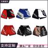 Shorts d'entraînement MMA Boxe Muay Thai Kickboxing Hommes Femmes Séchage Rapide Stretch Athlétique Combat