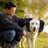 Head-worn Pet  Ear Protection Anti-noise Dog Noise Cancelling Headphones Pet Earmuffs  Fireworks