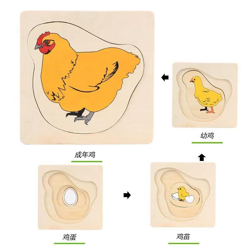 Children's Early Education Characters Body Organ Structure Cognitive Puzzle Brain Multi-Layer Development Wooden Toys