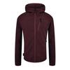 Fohn Mens Polartech Hoodie