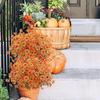 Fall Flowers Autumn Simulation Flower 10 Pieces Simulation Plants Decor For Kitchen Bedroom Dining Porch Outdoor Balcony Patio