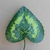 @ Artificial Vines Hanging Plants Artificial Leaves For Decoration Wall P979 MJ-830-60%OFF