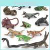Realistic Pvc Amphibian And Reptile Model Pack For Display And Educational Use