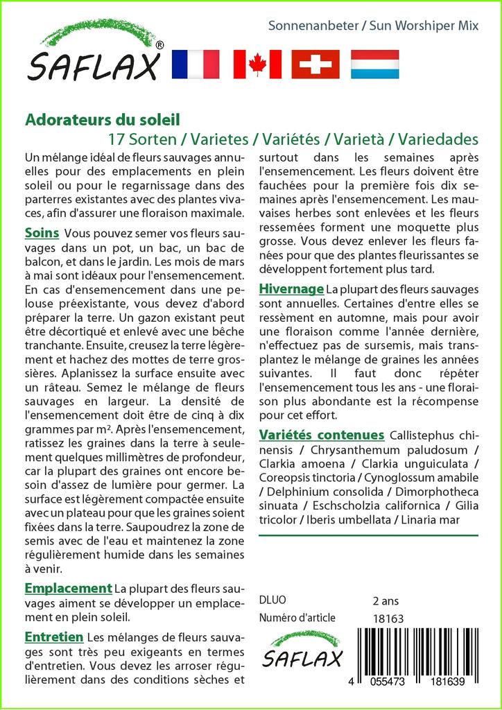 SAFLAX Sonnenanbeter-Mix – 1000 Samen – 17 Wildblumen-Mix