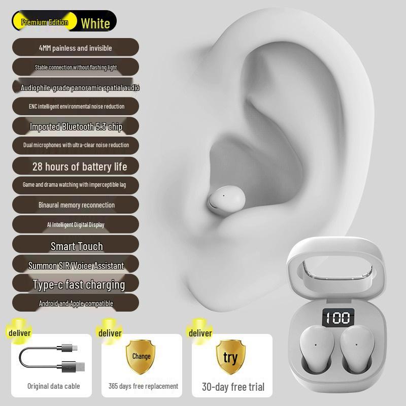 Mini Micro Pro4ss Invisible True Wireless Bluetooth Earbuds - High Design, Hidden Fit, Extended Battery Life