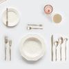 Nicott Satin Gold Dinner Knife