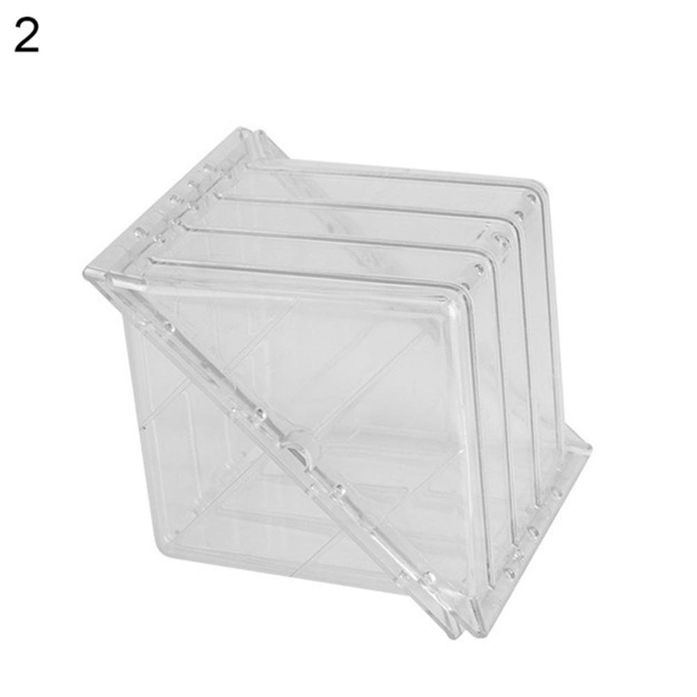 

Квадратная форма сердца в форме арбуза, садовая форма для роста фруктов, формовочная форма, инструмент