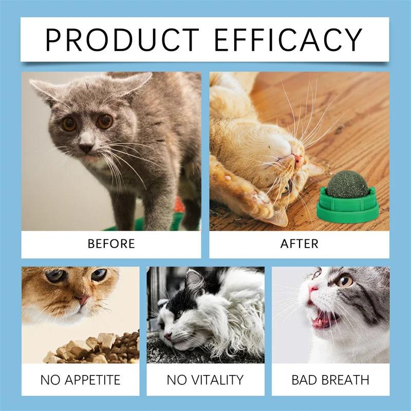 Wall-mounted Rotating Catnip Ball Cat Toys Natural Catnip Licking Ball for Feline Teeth, Cat Grass,Digestive Aid Snack, Supplies