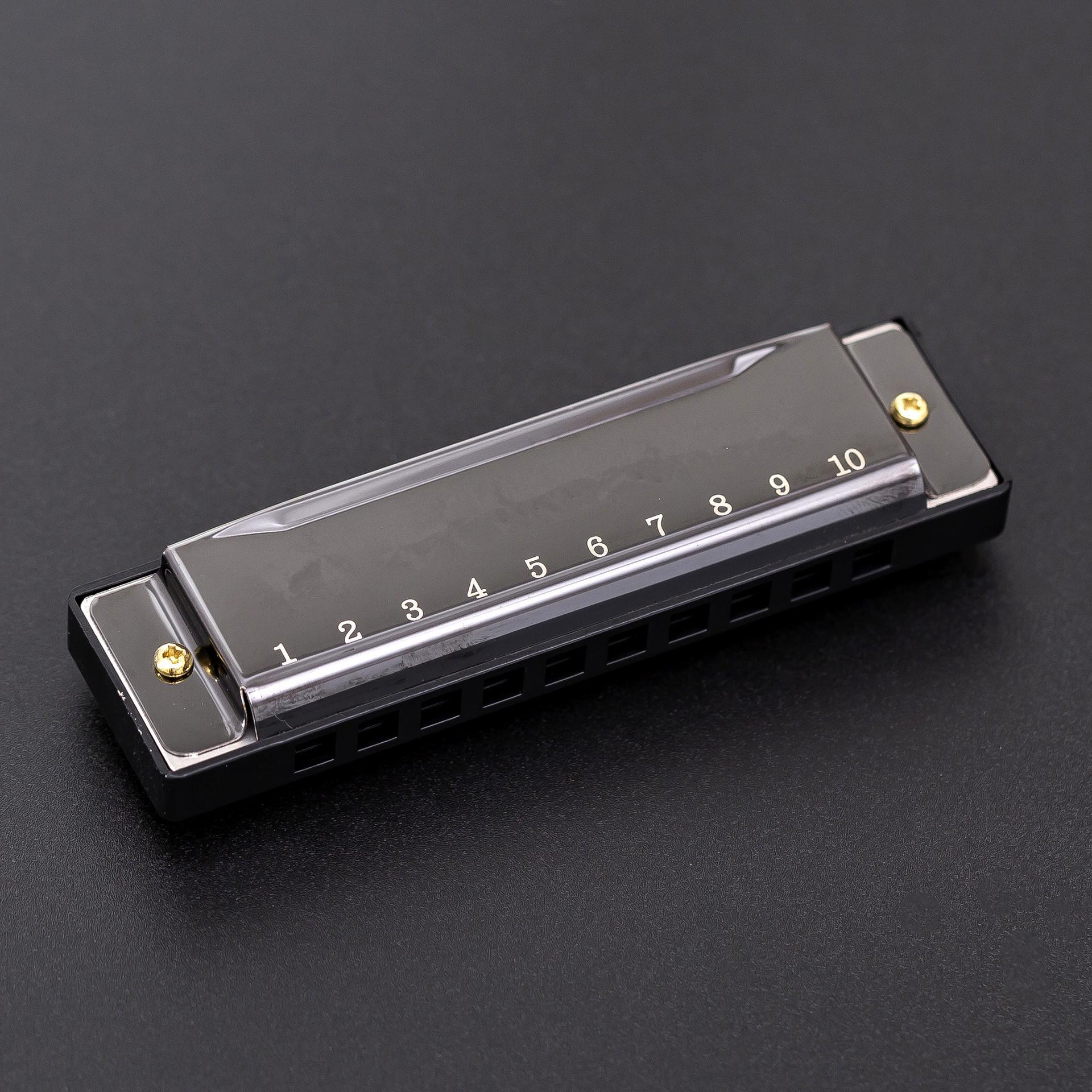 Children s Diatonic 24-Hole Harmonica, Copper Reed, Educational Orff Instrument