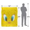 Looney Tunes Tweety Blanket