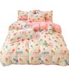 Four Piece Thick Coral Velvet Quilt Cover For Winter Milk Velvet Bed