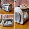 Hamster Carrier, Small Animal Carrier Bag Guinea Pig Carrier for 2, Bearded Dragon Lizard Travel Carrier Bird Rabbit Carrier Bag
