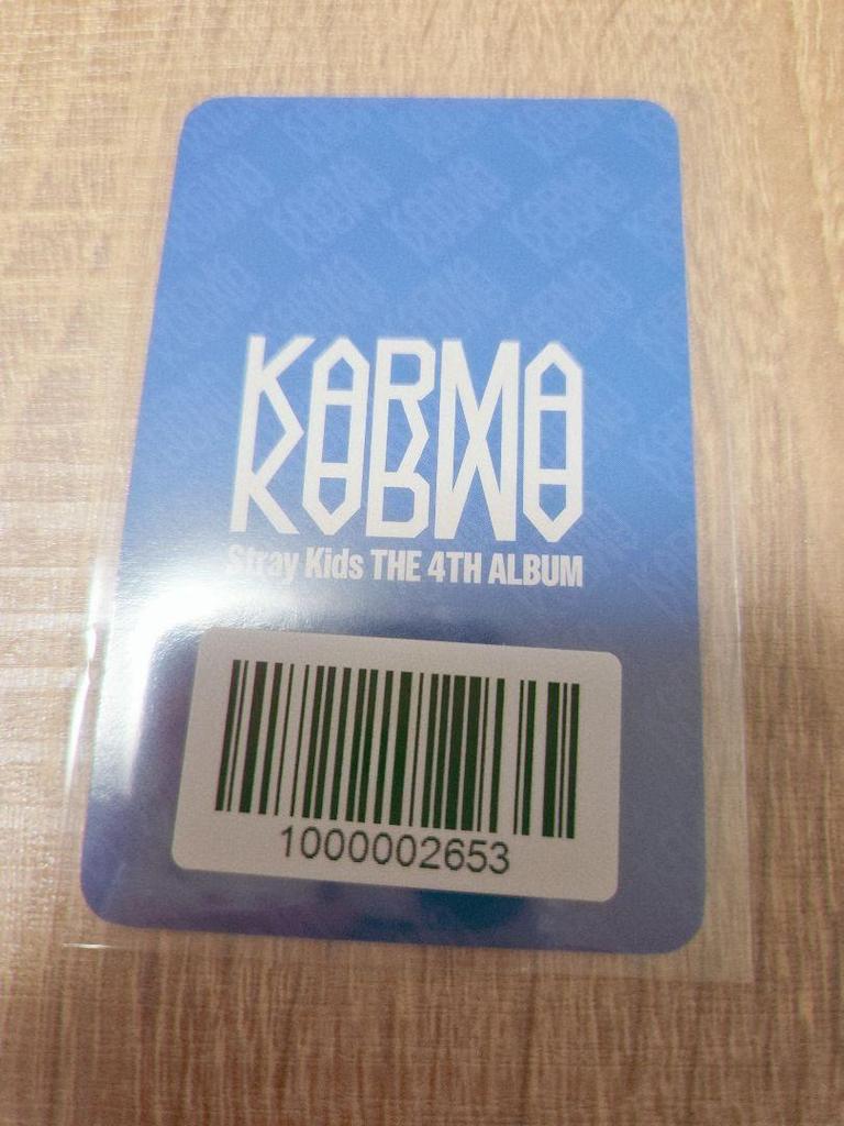 [USED] straykids SKIZ KARMA FANS Resurrection Hyunjin