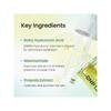 CNP Laboratory Propolis Rescue Ampule 50ml
