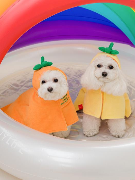 

СОЛЕНЫЙСЫТНЫЙ ФРУКТОВЫЙ ХАЛАТ 2021 ОРАНЖЕВЫЙ orange