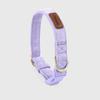 Pet Collars Trendy Premium Suede Dog Harness Leash Set-Adjustable Pet Chest Strap Soft Durable Puppy Kitten Fashion Accessories
