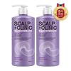 Scalp Clinic Mildly Acidic Scalp Deep Cleansing Shampoo Fresh Peppermint Scent 950ml X 2_19635492_588346