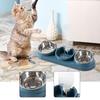 Double Bowl Pet Food Water Dish Feeder For Dog Cats Daily Feeding with Automatic Water Dispenser For Pet Dry Wet Food