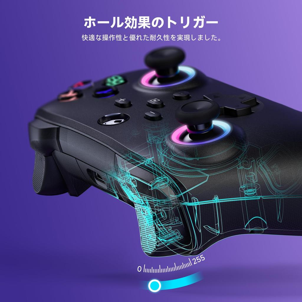 Switch RGB Turbo Rapid Back Vibration 1000mAh Pro Black Controller, Wireless/Wired, 6-Axis Gyro, Wireless, Lights, Fire, Buttons, 4-Level Adjustment,